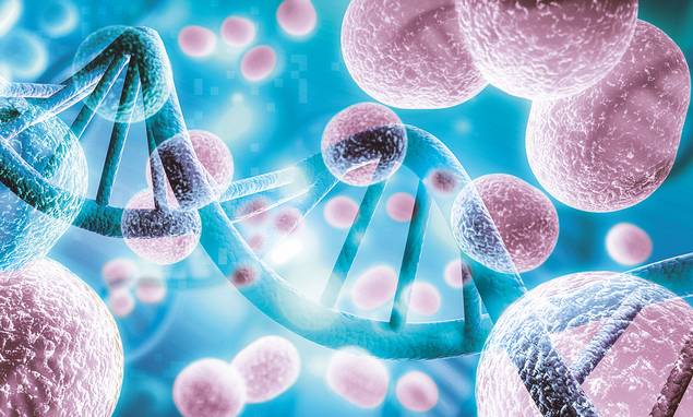 Illustration eines DNA-Doppelhelix-Strangs, umgeben von großen, rosafarbenen, kugelförmigen Zellen und kleineren Partikeln auf blauem Hintergrund, als Symbol für Genetik und Molekularbiologie.